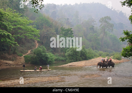 Trek de la rivière de l'éléphant à Maetaman Elephant Camp, près de Chiang Mai, la province de Chiang Mai, Thaïlande Banque D'Images