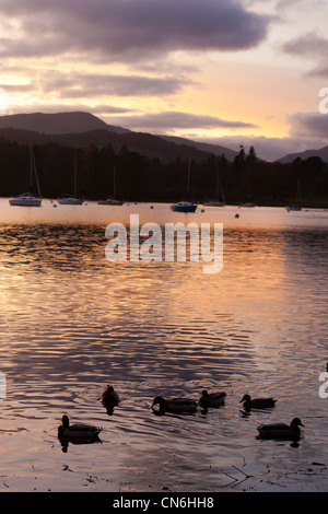 Coucher du soleil sur le lac Windermere Banque D'Images