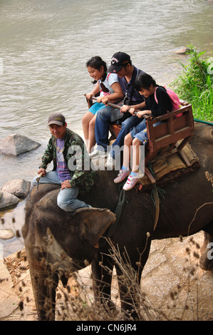 Trek de la rivière de l'éléphant à Maetaman Elephant Camp, près de Chiang Mai, la province de Chiang Mai, Thaïlande Banque D'Images