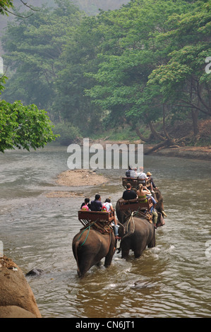 Trek de la rivière de l'éléphant à Maetaman Elephant Camp, près de Chiang Mai, la province de Chiang Mai, Thaïlande Banque D'Images