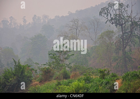 Rivière paysage à Maetaman Elephant Camp, près de Chiang Mai, la province de Chiang Mai, Thaïlande Banque D'Images