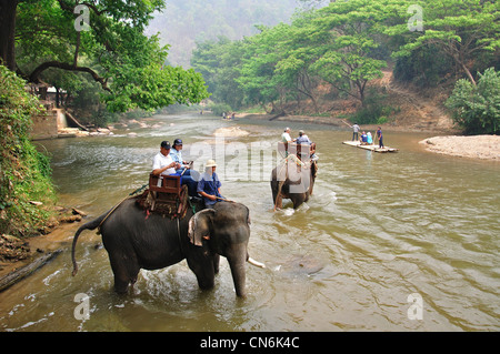 Trek de la rivière de l'éléphant à Maetaman Elephant Camp, près de Chiang Mai, la province de Chiang Mai, Thaïlande Banque D'Images