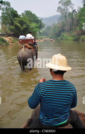 Trek de la rivière de l'éléphant à Maetaman Elephant Camp, près de Chiang Mai, la province de Chiang Mai, Thaïlande Banque D'Images