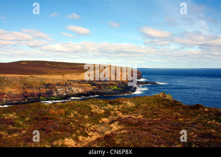 Falaises sur l'Orkney, UK Banque D'Images