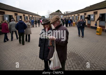 Les chevaux dans les écuries. Les visiteurs de jour d'équitation ouvert de Middleham, LE VENDREDI SAINT 2012 le 6 avril à Leyburn, North Yorkshire, UK Banque D'Images