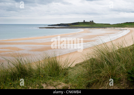 La plage de balayage avec la baie de dunstanburgh autour de château en ruine à présent dans l'arrière-plan. Northumberland, Dunstanburgh. Mai. Banque D'Images