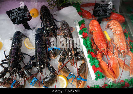 Homard vivant de Cornouailles et homards cuits sur glace avec du citron vendant dans une cabine de poisson à Swansea Market Wales UK KATHY DEWITT Banque D'Images