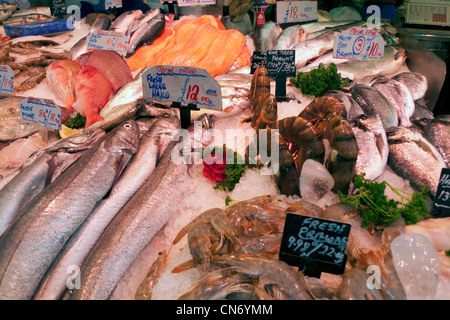 Décrochage du poisson au marché de Swansea merlu frais Crevettes King Tiger Dorade Vivaneau rouge Swansea South Wales UK Banque D'Images