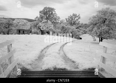 La voie de la mémoire. Les bovins et grille route menant à côté de pays près de Brogo NSW Australie Banque D'Images