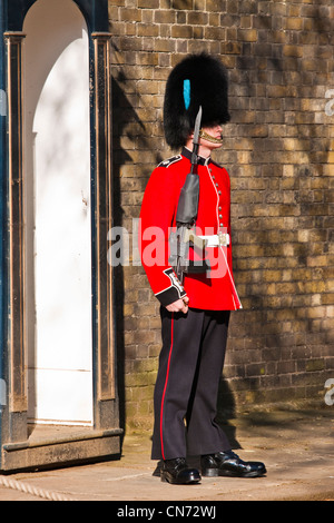 Guardsman irlandais à Clarence House Banque D'Images