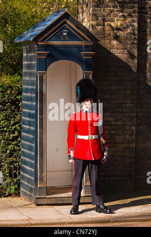 Guardsman irlandais à Clarence House Banque D'Images