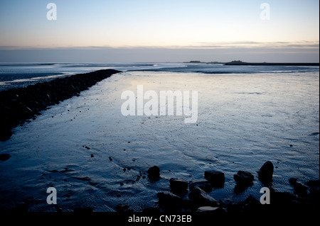 Marée basse sur le site du patrimoine mondial de l'allemand au large de la mer des wadden Hallig Langeness tôt le matin Banque D'Images