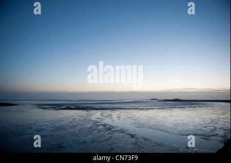 Marée basse sur le site du patrimoine mondial de l'allemand au large de la mer des wadden Hallig Langeness tôt le matin Banque D'Images