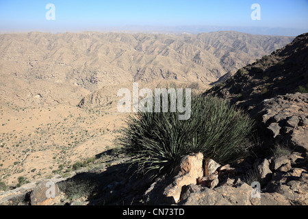 Landschaft des südlichen Dhofar, Jabal al-Qamar, Oman Banque D'Images