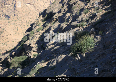 Landschaft des südlichen Dhofar, Jabal al-Qamar, Oman Banque D'Images