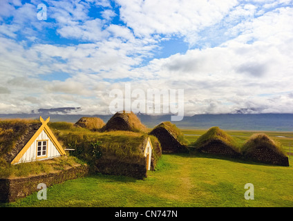 Islande jaune traditionnel toit ont fichu boîtier avec de l'herbe verte Banque D'Images