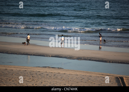 Am Strand arabischen Meer, südlicher Oman, bei Salalah Banque D'Images