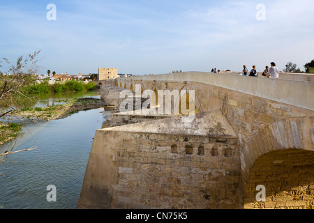 Le récemment restauré (2007) Puente Romano en regardant vers la Torre de la Calahorra, Cordoue, Andalousie, Espagne Banque D'Images