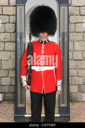 Un garde Coldstream sur la garde royale à la reine, résidence Magazinez Château de Windsor. Banque D'Images