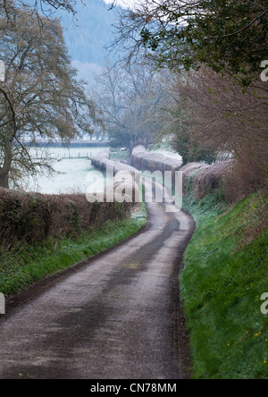 Chemin de campagne sur un matin glacial dans le Shropshire en Angleterre Banque D'Images