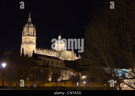 Une vue de la nuit de la cathédrale de Salamanque Banque D'Images