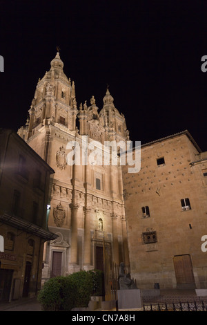 Salamanque - Casa de las Conchas Banque D'Images