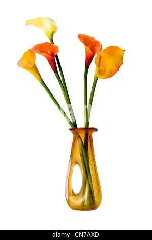 Lillies en vase en verre Banque D'Images