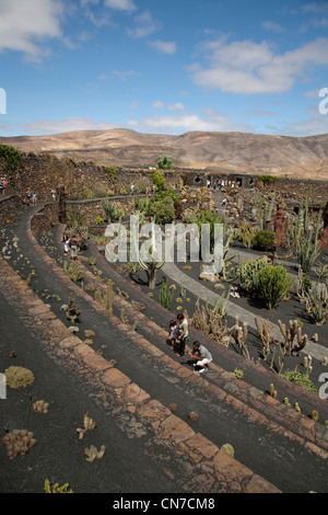 Le jardin de cactus jardin créé par l'artiste César Manrique situé entre San Juan et Mala de Lanzarote dans les îles Canaries Banque D'Images