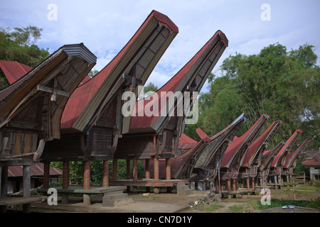 Maisons traditionnelles en Tana Toraja. Rantepao, Sulawesi, Indonésie, du Pacifique, de l'Asie du Sud. Banque D'Images