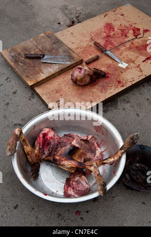 Beijing, Dongcuijia cun. La viande de chien disséqués. Banque D'Images