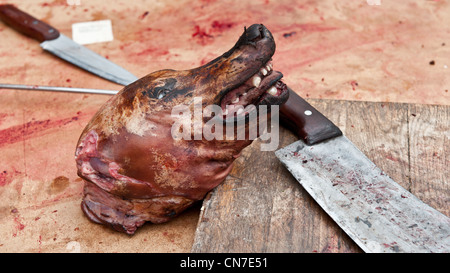 Beijing, Dongcuijia cun. La viande de chien disséqués. Banque D'Images