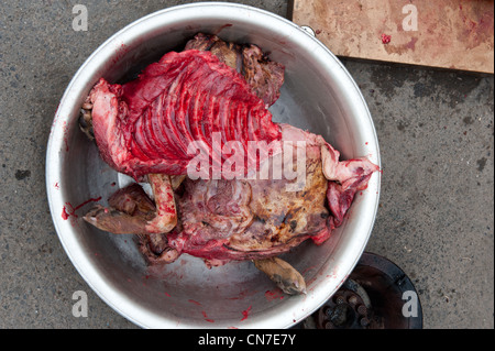 Beijing, Dongcuijia cun. La viande de chien disséqués. Banque D'Images