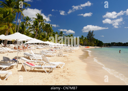 République dominicaine, la province de La Romana, Casa de Campo, plage de sable blanc et transats à Casa de Campo Banque D'Images