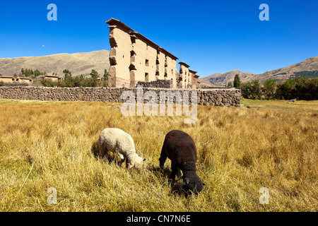 Le Pérou, Cuzco province, Raqchi, temple de Wiracocha, important site religieux et administratif, c'est le seul bâtiment à Inca Banque D'Images