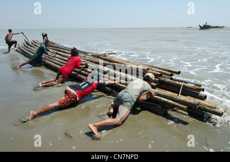 Les hommes de la manipulation en bambou produits à partir d'un bateau dans la mer. Delta de l'Irrawaddy. Le Myanmar. Banque D'Images