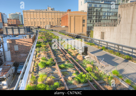 Une vue sur l'aménagement paysager dans le parc High Line, plantés le long de l'ancienne voie ferrée laissée en place, dans la ville de New York. Banque D'Images