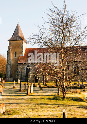 Eglise St Georges, Trotton, West Sussex tôt le matin avec le début du printemps des fleurs et légère sur la terre. Banque D'Images