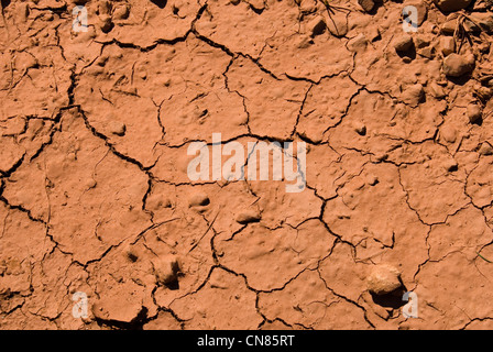 Sol fissuré séché l'arrière-plan. Banque D'Images