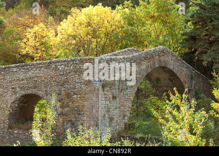 France, Alpes Maritimes, vallée de la Roya, près de La Brigue, le Coq le pont sur la rivière Levense Banque D'Images