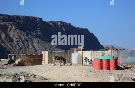 Landschaft im Gebiet, Jebel Harim, dans der omanischen Khrofakkan Enklave, Oman Banque D'Images