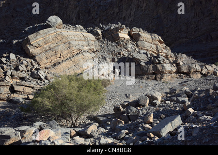 Landschaft im Gebiet, Jebel Harim, dans der omanischen Khrofakkan Enklave, Oman Banque D'Images