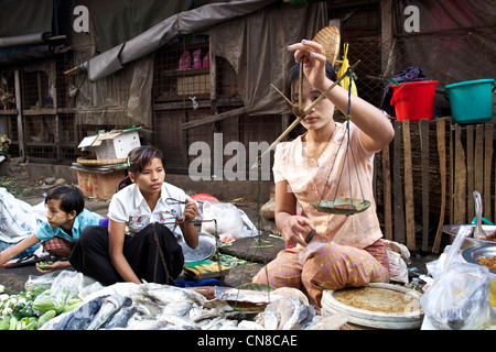 Une femme birmane vend du poisson frais dans un marché de rue dans les rues de Rangoon (Yangon), la Birmanie (Myanmar) Banque D'Images