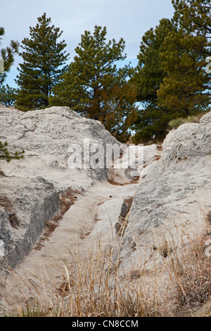 Trail d'ornières creusées par des milliers d'émigrants vers l'ouest, dans la région de wagon trains passant l'Oregon Trail Banque D'Images