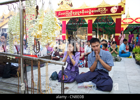 Des guirlandes de fleurs de jasmin accroché dans la Paya Shwedagon à Rangoon en Birmanie Banque D'Images