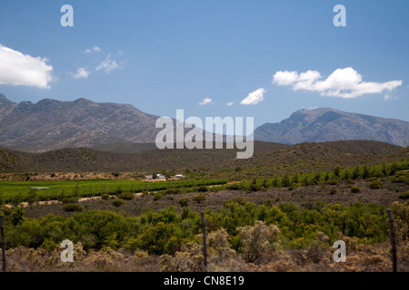 Vues Sur La Route 62, Garden Route, Afrique Du Sud Banque D'Images