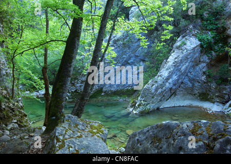 France Alpes Maritimes St Vallier de Thiey Ponadieu l arche