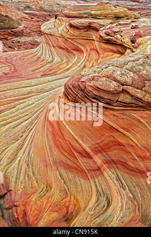 Les conditions d'hiver couvert d'améliorer les couleurs de la deuxième vague en Arizona Coyote Buttes et du Nord Vermillion Cliffs. Banque D'Images