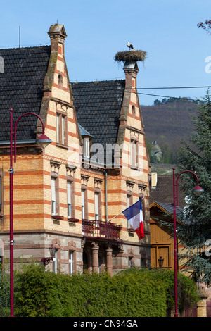 France, Alsace, Hunawihr, couple de cigognes dans leurs bâtiments publics neston Banque D'Images