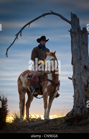 Cowboy et son cheval au lever du soleil sur un ranch dans le nord-est du Wyoming Banque D'Images