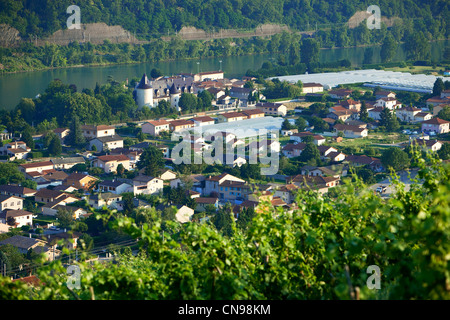 France, Rhône, Ampuis, le Rhône et la Côte Rôtie vignoble AOC Banque D'Images